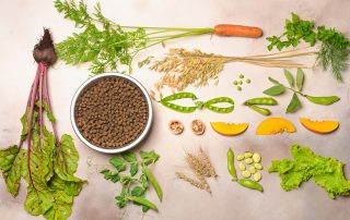 vegan pet food and natural raw ingredients