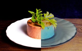 wet food pate on a white plate for animals